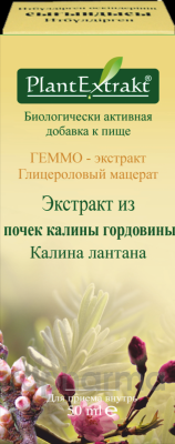 ГЕММО - экстракт из почек калины гордовины 50 мл, фл., Калина лантана ГЕММО - экстракт из почек калины гордовины 50 мл, фл., Калина лантана