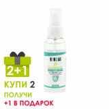 KINSAI спрей антисептик дизенфицирующий (Kills 99.9% Germs) для рук 50 мл  АКЦИЯ (3 шт по цене 2-х)