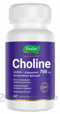 ХОЛИН 350 мг/CHOLINE 350 mg, таб. №60 по 1,2 г, банка