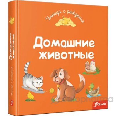 Книжки - картонки. Домашние животные