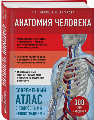Билич Г. Л., Зигалова Е. Ю.: Анатомия человека. Современный атлас с подробными иллюстрациями