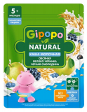 Каша сухая молочная GIPOPO Овсяная яблоко, черника, черная смородина 170 г пауч