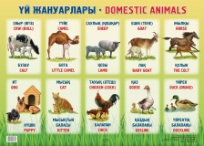 Үй жануарлары