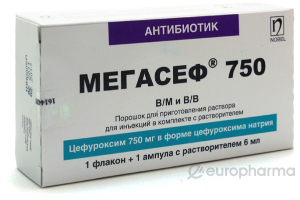 Мегасеф 750 мг 6мл № 1 порошок для приготовления раствора для инъекций