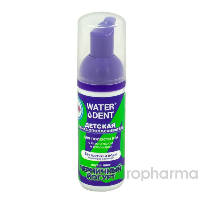 WaterDent пенка детская Happy Smile Черничный йогурт 50 мл