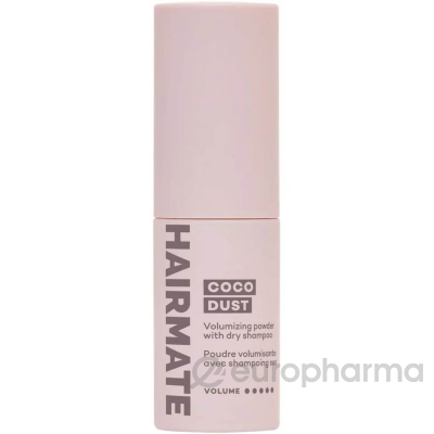 HAIRMATE Пудра для придания объема с эффектом сухого шампуня 7 г